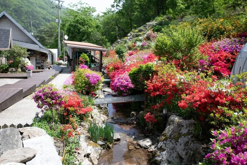 Gapyeong Valley Pension Luan (Valley in front of the pension)-8