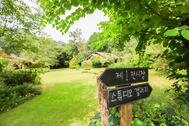 Hoengseong Gallery Birch Forest
