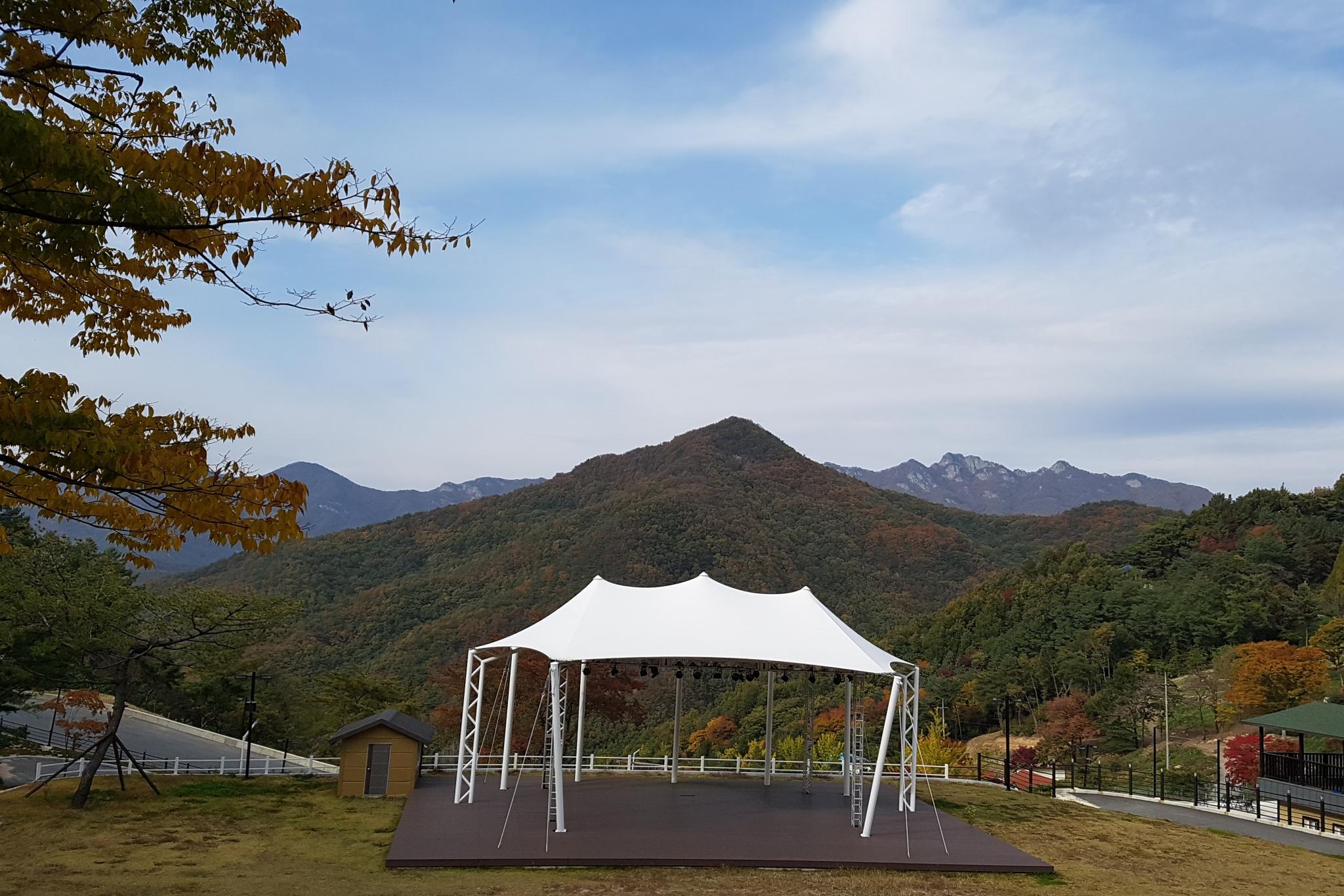 대표 사진