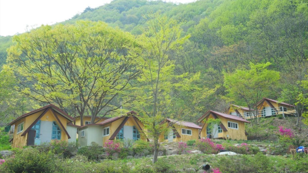 Wanju Yewon Camping Site