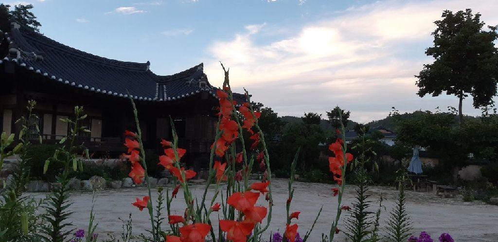 Bonghwa manhoi gotek-5