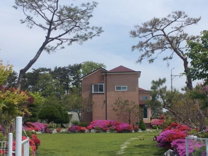 Daebudo Tasha&#39;s Garden Pension-9