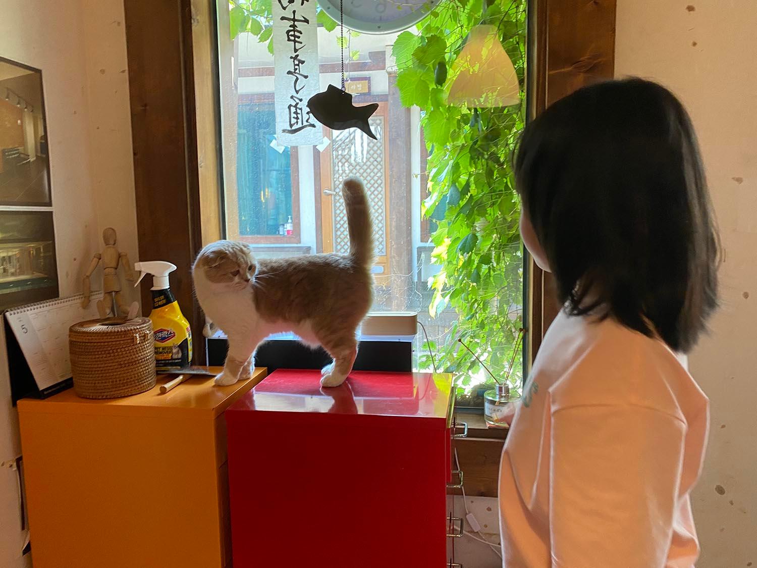 숙소 시설