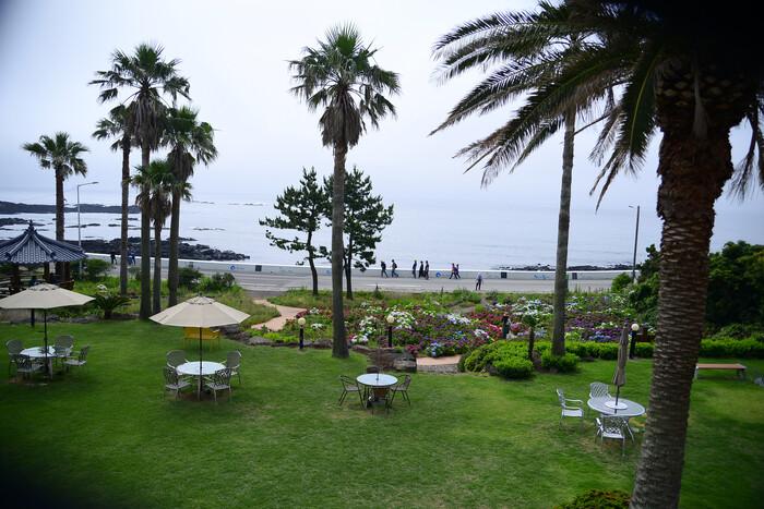 Seogwipo Jenny Ville Pension-4