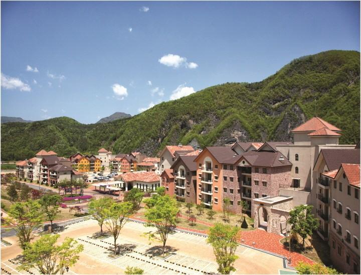 대표 사진