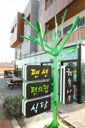 Seogwipo Happy Tree Pension-13