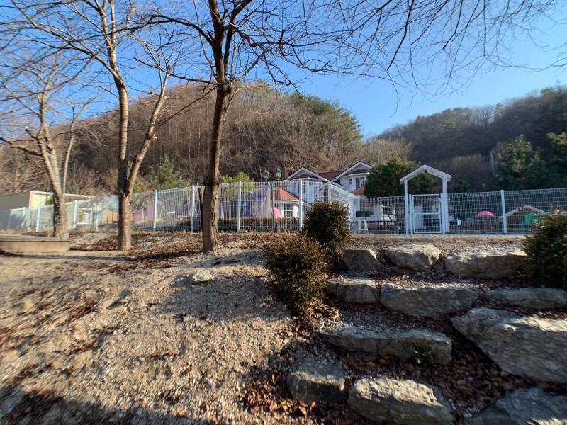 대표 사진