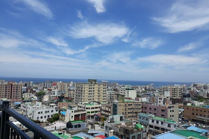 대표 사진