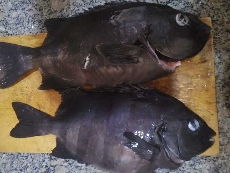 숙소 시설