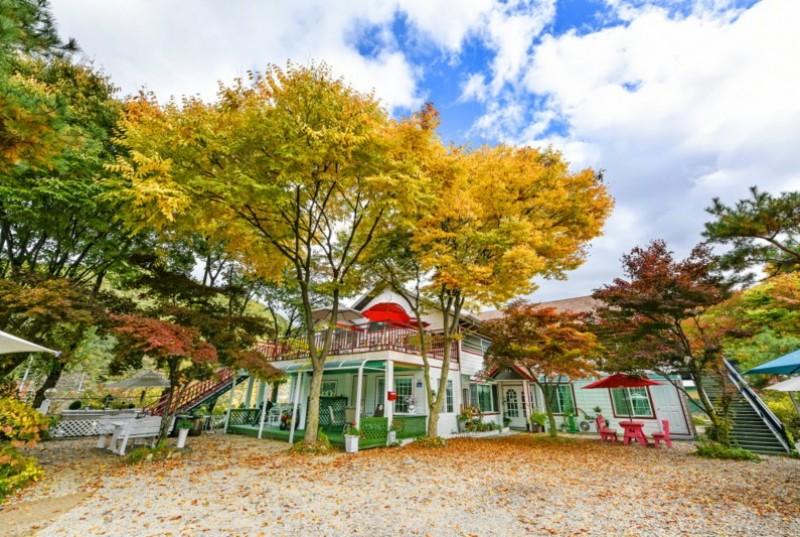 Gapyeong Flower Muji Pension (near the valley)-73