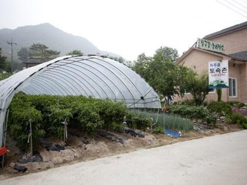 Pocheon Pajugol Tosokchon Pension-32