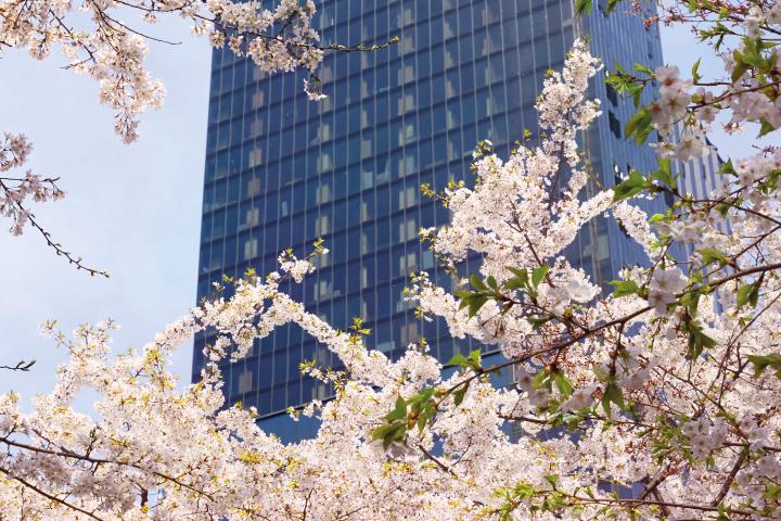 Sofitel Ambassador Seoul Hotel & Serviced Residence-3