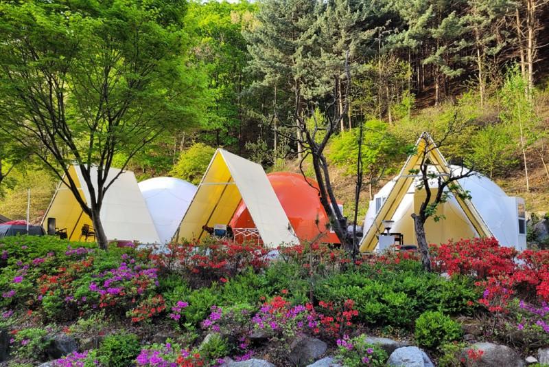 Wonju Forest Dome