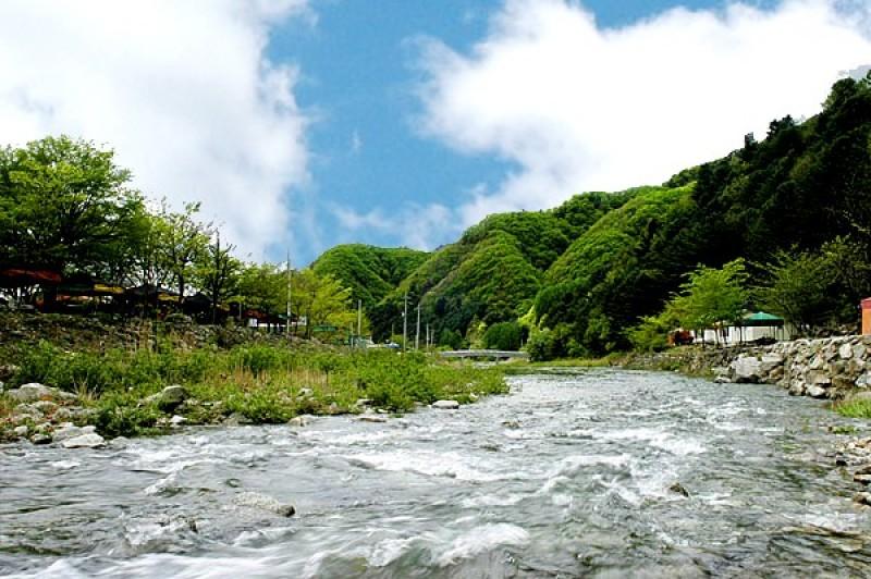 Gapyeong Flower Muji Pension (near the valley)-31