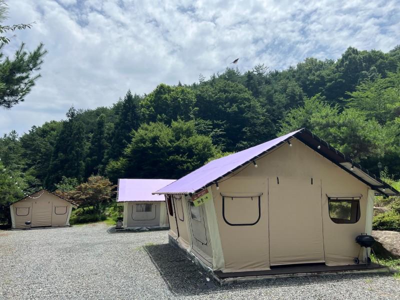 대표 사진