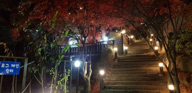 대표 사진