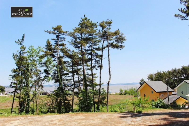 Daebudo Bada Haemaji Pension-21