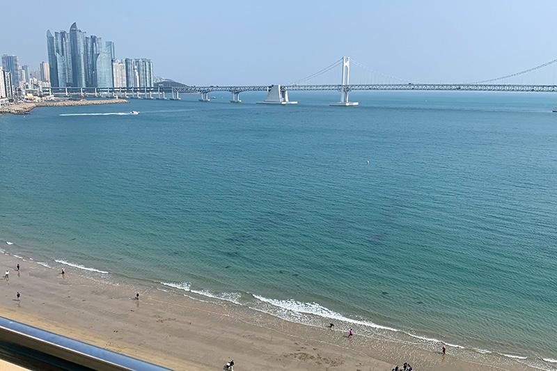 대표 사진