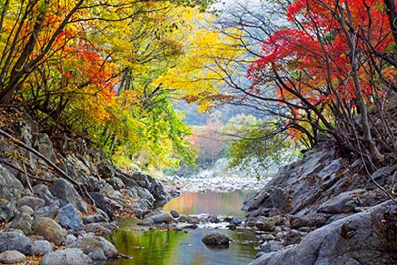 숙소 시설