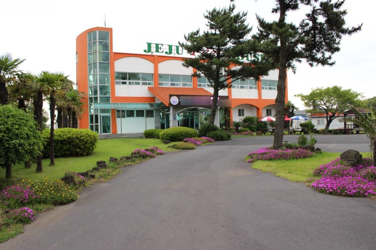 Jeju Feel House Pension-6