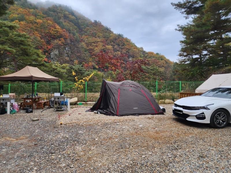 대표 사진