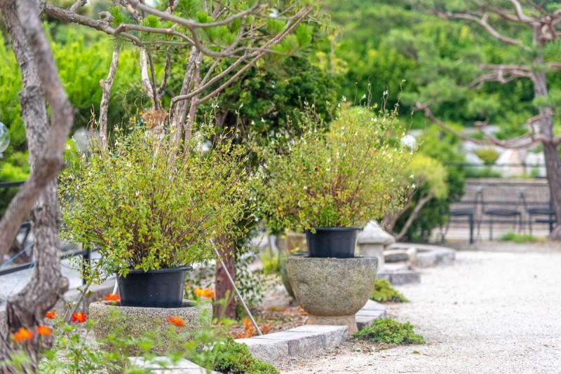 Ganghwa Island Pine Scented Pension-13