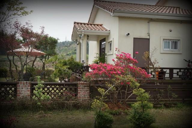 Morning Garden Guesthouse-3