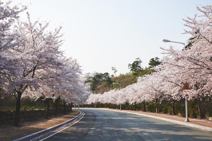대표 사진