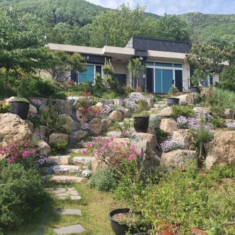 Damyang Haeseul