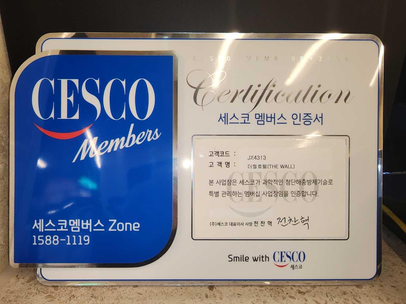 대표 사진