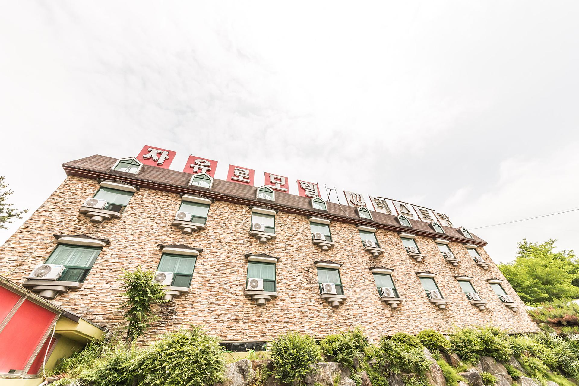 Paju Jayuro-8
