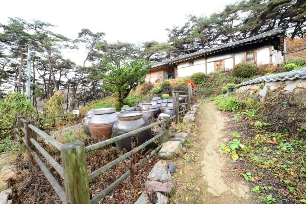 대표 사진