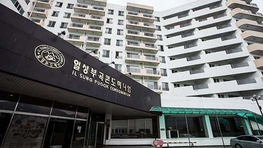 대표 사진