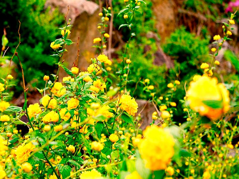 Gapyeong Purun Valley Pension-78