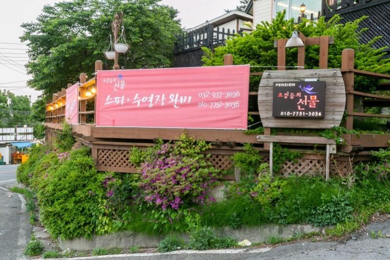 Ganghwado Fairy's Gift Pension-111