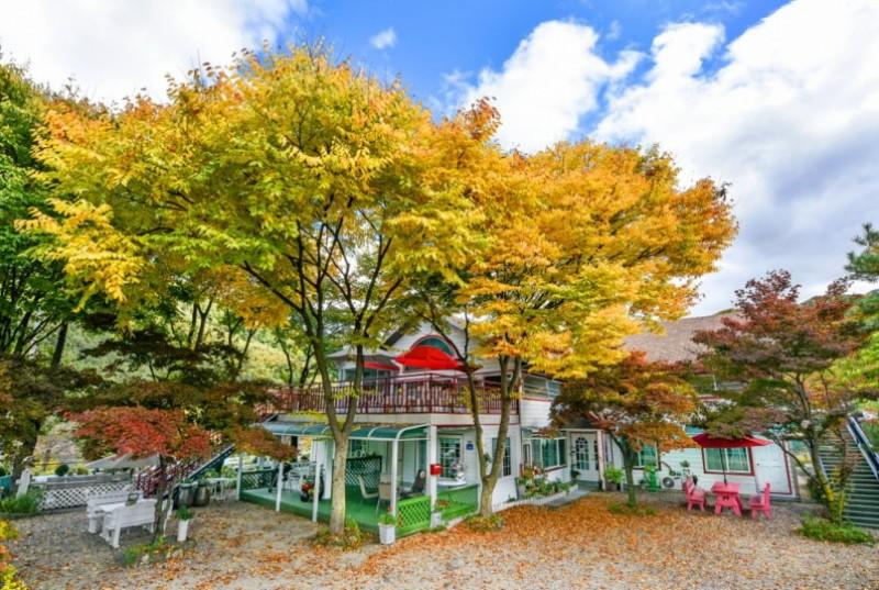 Gapyeong Flower Muji Pension (near the valley)-5