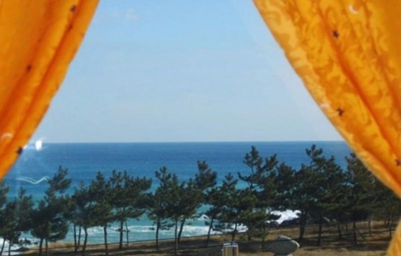 대표 사진