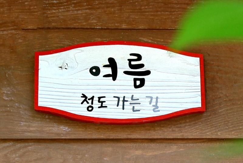 대표 사진
