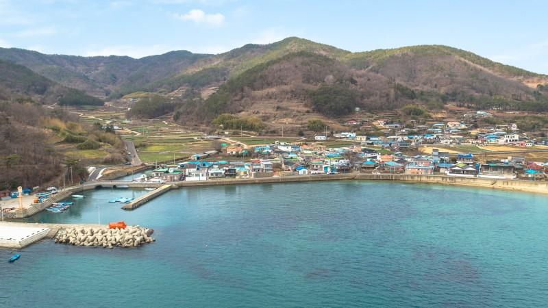 대표 사진