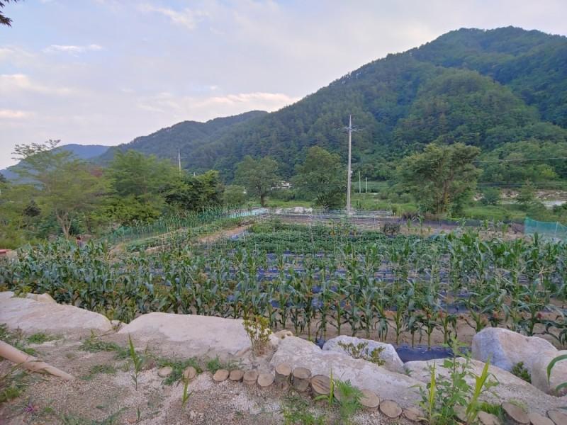 숙소 시설
