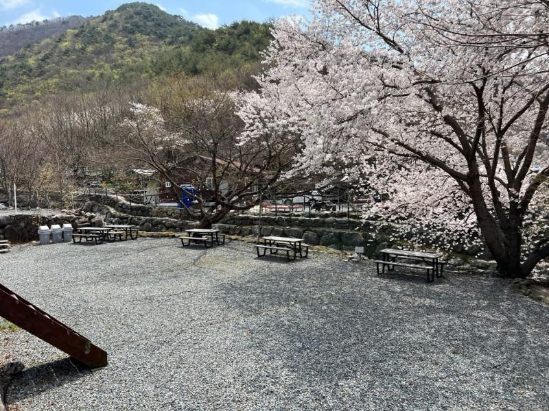 대표 사진