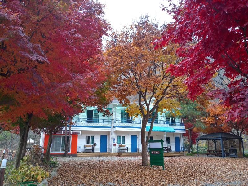 Chuncheon Forest Green Pension (Nami Island, Ski Resort, Rail Bike)