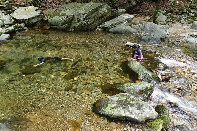 Gapyeong Lavender Pension-27