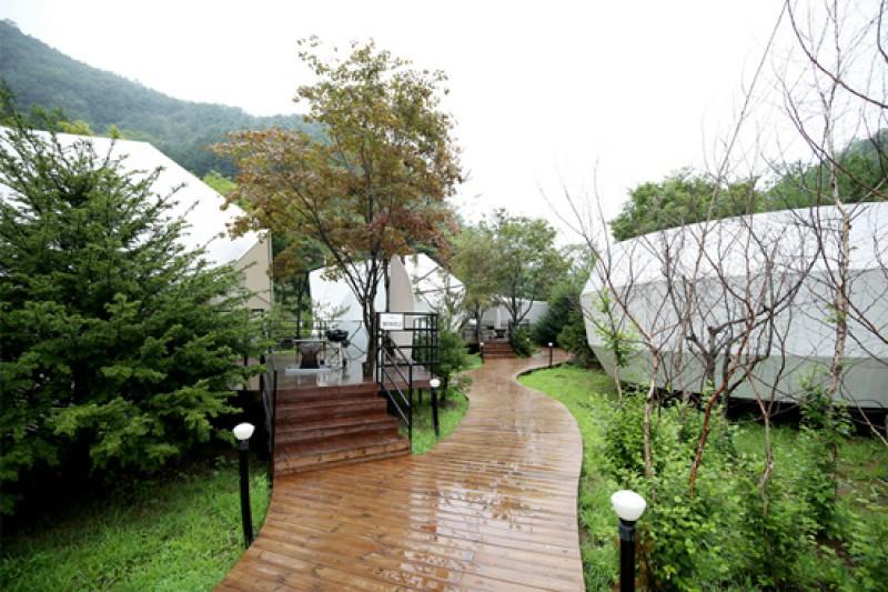 Gapyeong Pine Forest Pension-27