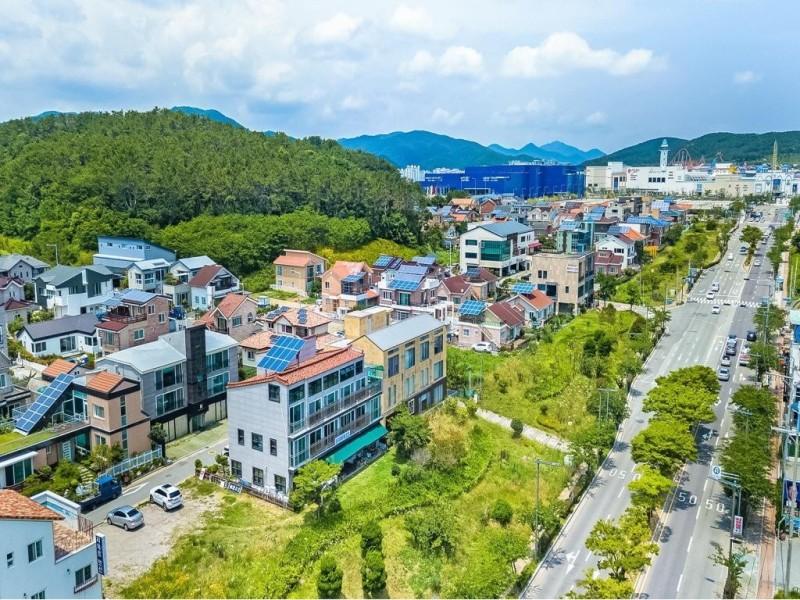 대표 사진