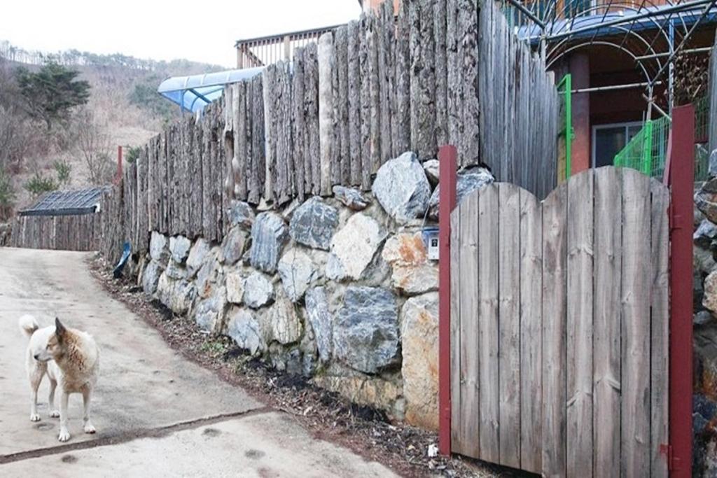 Yeongwol Nature Healing Pension