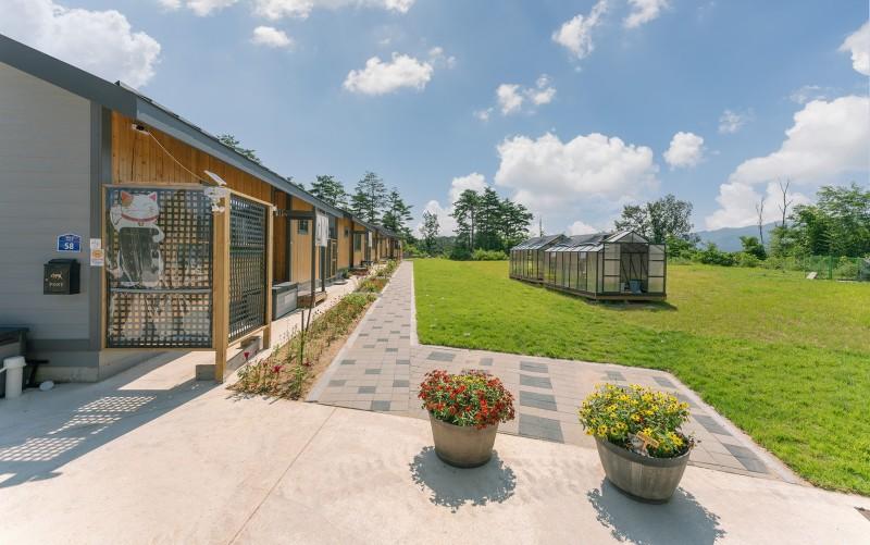 Gangneung Nekostay Pension