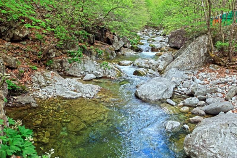 Gapyeong Dorothy Pension (next to the valley)-5