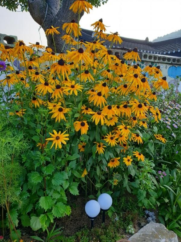 숙소 시설