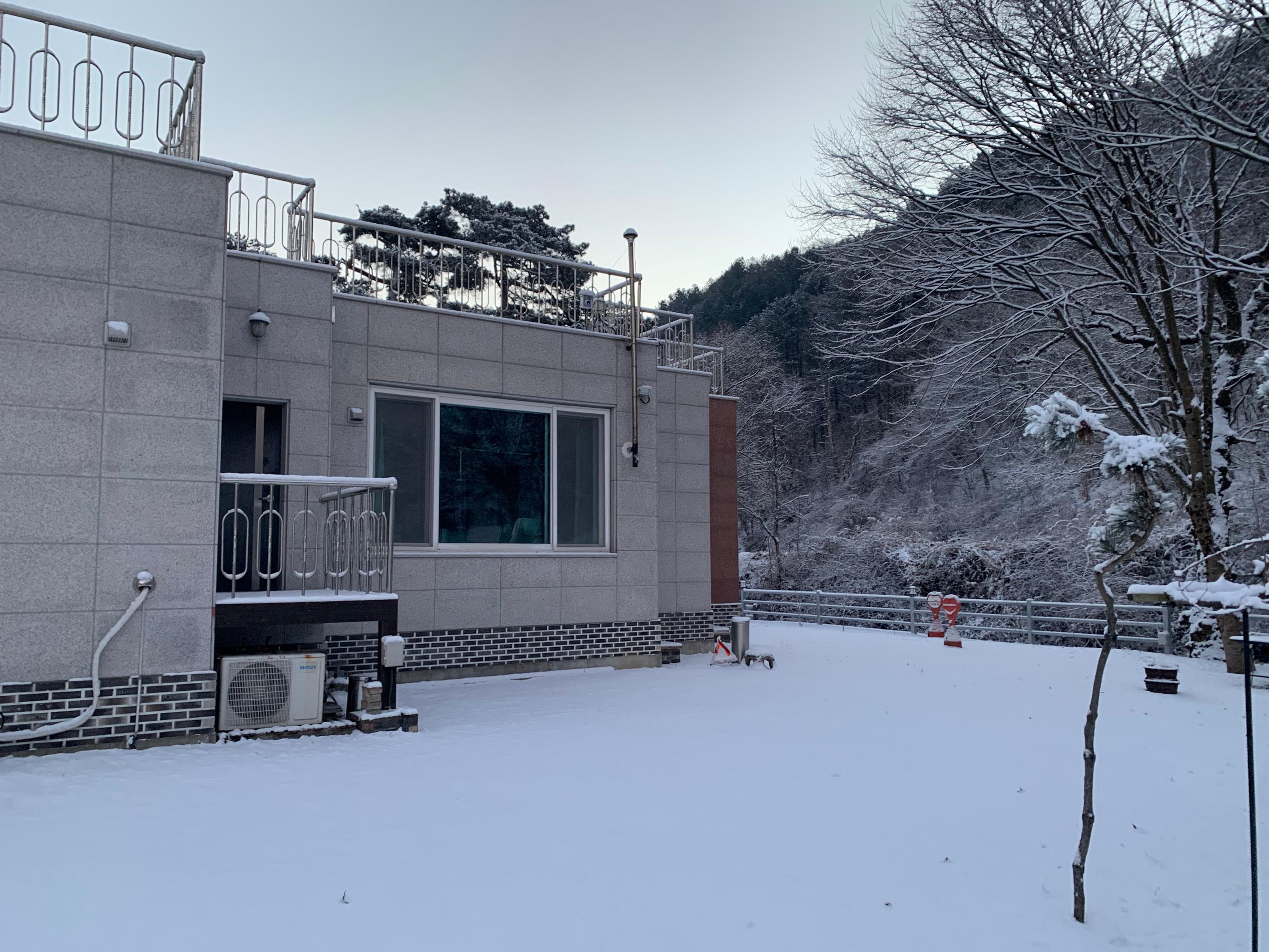 대표 사진